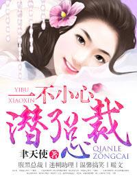 《一不小心潜了总裁》 作者：聿天使 txt文件大小：2.66 MB