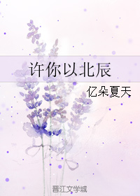 《许你以北辰》 作者：亿朵夏天 txt文件大小：118.65 KB