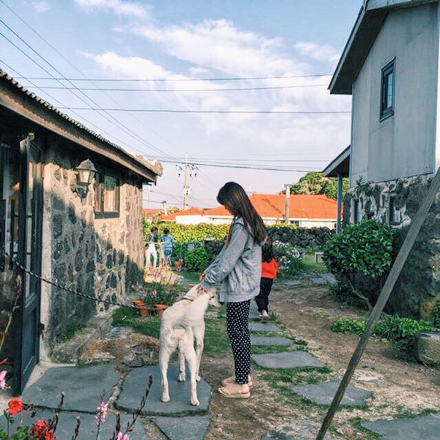 《镇北倾生》 作者：初恩 txt文件大小：215.63 KB