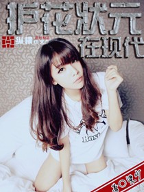 《护花状元在现代》 作者：梁少 txt文件大小：10.92 MB