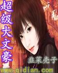 《超级大文豪》 作者：韭菜壳子 txt文件大小：4.49 MB