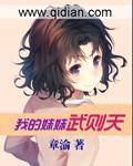 《我的妹妹武则天》 作者：章渝 txt文件大小：3.26 MB