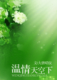 《温情天空下》 作者：大唐昭仪 txt文件大小：431.59 KB