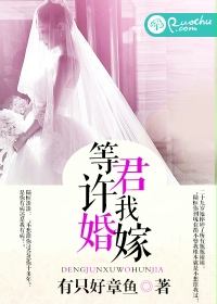 《等君许我婚嫁》 作者：有只好章鱼 txt文件大小：864.62 KB