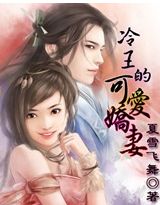 《冷王的可爱娇妻》 作者：夏雪飞舞 txt文件大小：329.08 KB