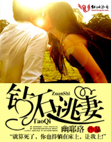 《钻石逃妻》 作者:幽耶珞 txt文件大小:899.59 KB