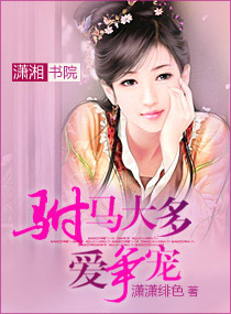 《驸马太多爱争宠》 作者：潇潇绯色 txt文件大小：596.85 KB