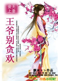 《妾上无妻：王爷别贪欢》 作者：胭木 txt文件大小：1.09 MB