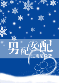 《男配女配》 作者：过雨晴 txt文件大小：448.22 KB