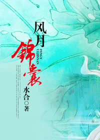 《风月锦囊》 作者:水合 txt文件大小:454.04 KB