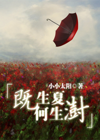 《既生夏何生澍》 作者：小小太阳 txt文件大小：228.9 KB