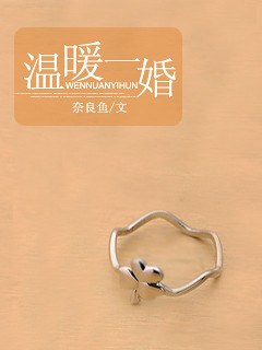 《温暖一婚》 作者：奈良鱼 txt文件大小：386.01 KB