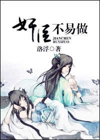 《奸臣不易做》 作者：洛浮 txt文件大小：389.28 KB