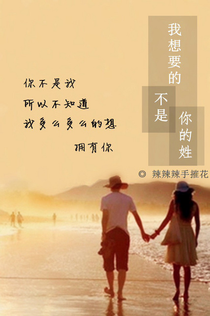 《我想要的不是你的姓》 作者：辣辣辣手摧花 txt文件大小：462.35 KB