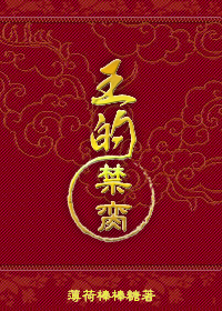 《王的囚奴》 作者：薄荷棒棒糖 txt文件大小：178.07 KB