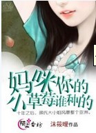 《妈咪，你的小草莓谁种的》 作者：沫筱暧 txt文件大小：1.17 MB
