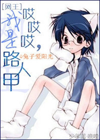 《[网王]哎哎哎,我是路人甲》 作者：兔子爱阳光 txt文件大小：584.01 KB
