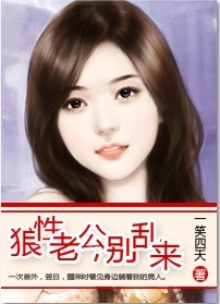 《狼性老公，别乱来》 作者：一笑四天 txt文件大小：555.41 KB