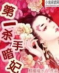《第一杀手暗妃》 作者：膤櫻埖ル txt文件大小：2.31 MB