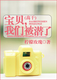 《宝贝，我们被潜了》 作者：柠檬玫瑰 txt文件大小：384.32 KB