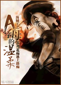 《海贼王之A字母的温柔》 作者：当花痴遇上路痴 txt文件大小：970.26 KB