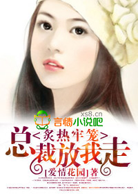 《总裁放我走》 作者：爱情花园 txt文件大小：969.59 KB