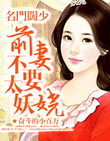 《名门阔少：前妻不要太妖娆》 作者：奋斗的小百万 txt文件大小：895.13 KB
