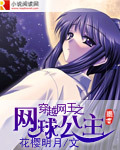 《穿越网王之网球公主》 作者：花樱明月 txt文件大小：582.6 KB