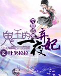 《鬼王的一夜弃妃》 作者：叶米拉拉 txt文件大小：644.59 KB