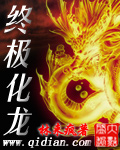 《终极化龙》 作者：林来疯 txt文件大小：2.17 MB