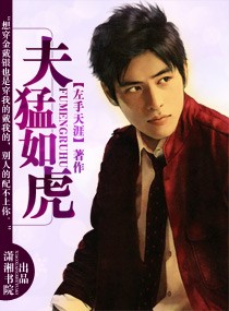 《夫猛如虎》 作者：左手天涯 txt文件大小：2.84 MB