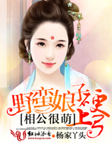 《相公很萌，野蛮娘子硬上弓》 作者：冷龙妮 txt文件大小：1.3 MB