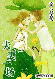 《夫妻一场》 作者：草莓 txt文件大小：636.41 KB