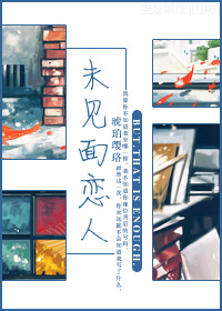 《未见面恋人》 作者：琥珀璎珞 txt文件大小：408.19 KB