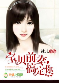 《宝贝前妻，搞定你》 作者：过儿 txt文件大小：756.41 KB