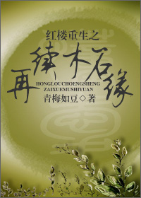 《红楼重生之再续木石缘》 作者：青梅如豆 txt文件大小：544.67 KB