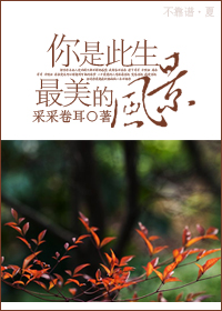 《你是此生最美的风景》 作者：采采卷耳 txt文件大小：301.13 KB