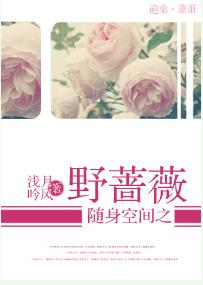 《随身空间之野蔷薇》 作者：浅月吟风 txt文件大小：469.34 KB