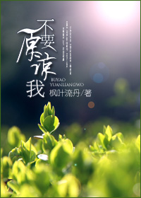 《不要原谅我》 作者：枫叶流丹 txt文件大小：377.79 KB