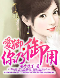 《爱卿,你乃御用》 作者:安吉拉丁 txt文件大小:1.39 MB