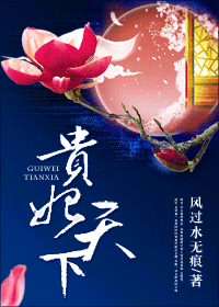 《贵妃天下》 作者：风过水无痕 txt文件大小：402.88 KB