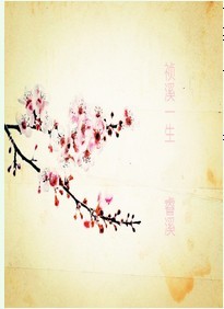 《祯溪一生》 作者：睿溪 txt文件大小：586.13 KB