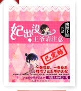 《妃出没，王爷请注意》 作者：魔鳖上仙 txt文件大小：885.85 KB
