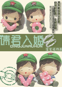 《请君入婚》 作者：笙笙曼 txt文件大小：335.54 KB