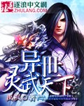 《异世灵武天下》 作者：禹枫 txt文件大小：21.23 MB