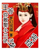 《王爷你敢娶小三试试》 作者：梦幻祝福 txt文件大小：1000.59 KB