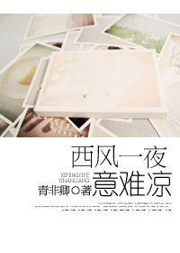 《西风一夜意难凉》 作者：青非卿 txt文件大小：374.54 KB
