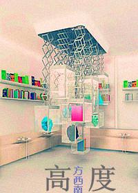 《高度》 作者：方西南 txt文件大小：561.89 KB