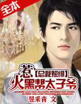 《惹火黑街太子爷》 作者：昱采青 txt文件大小：924.4 KB