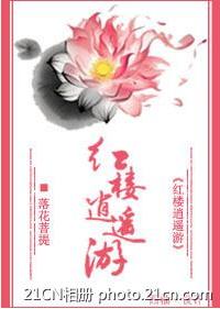 《红楼逍遥游》 作者：落花菩提 txt文件大小：452.54 KB